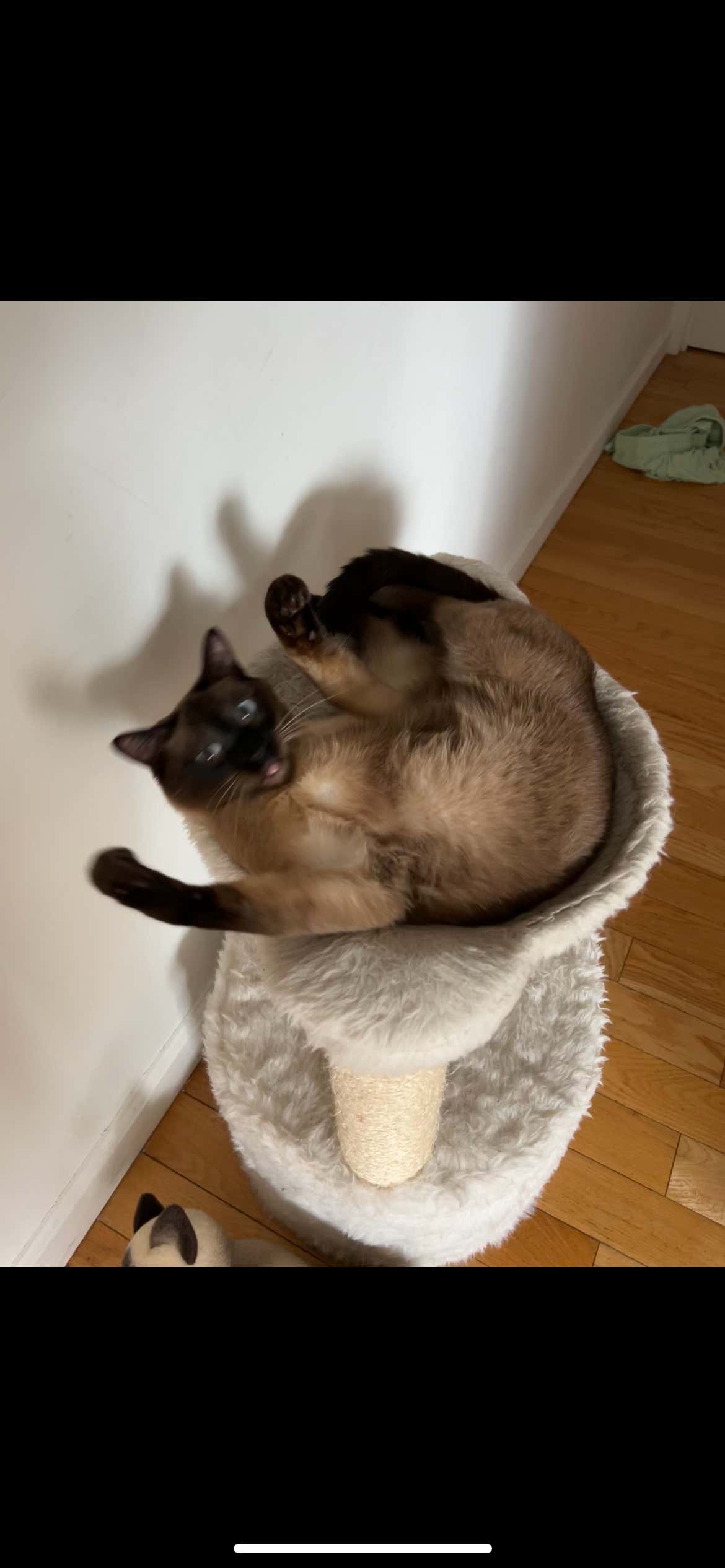 Meet The Hottest New Gambler At Barstool Sports