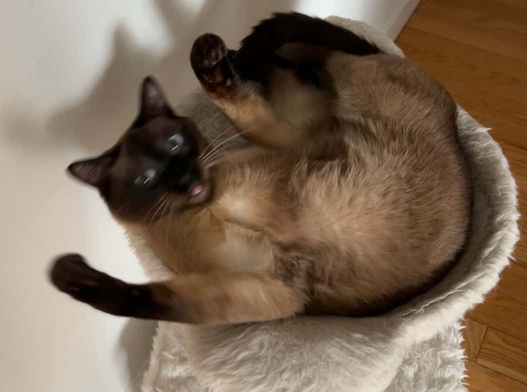 Meet The Hottest New Gambler At Barstool Sports Barstool Sports