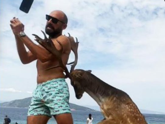 Watch: Deer Spears Tourist with Antlers, Phone Goes Flying, Broken Ribs Everywhere