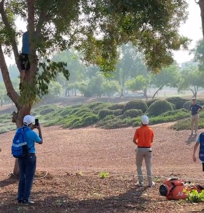 Watch: Struggling Golfer Hurls Driver Into Tree, Loses 3 More Clubs Trying to Get it Out