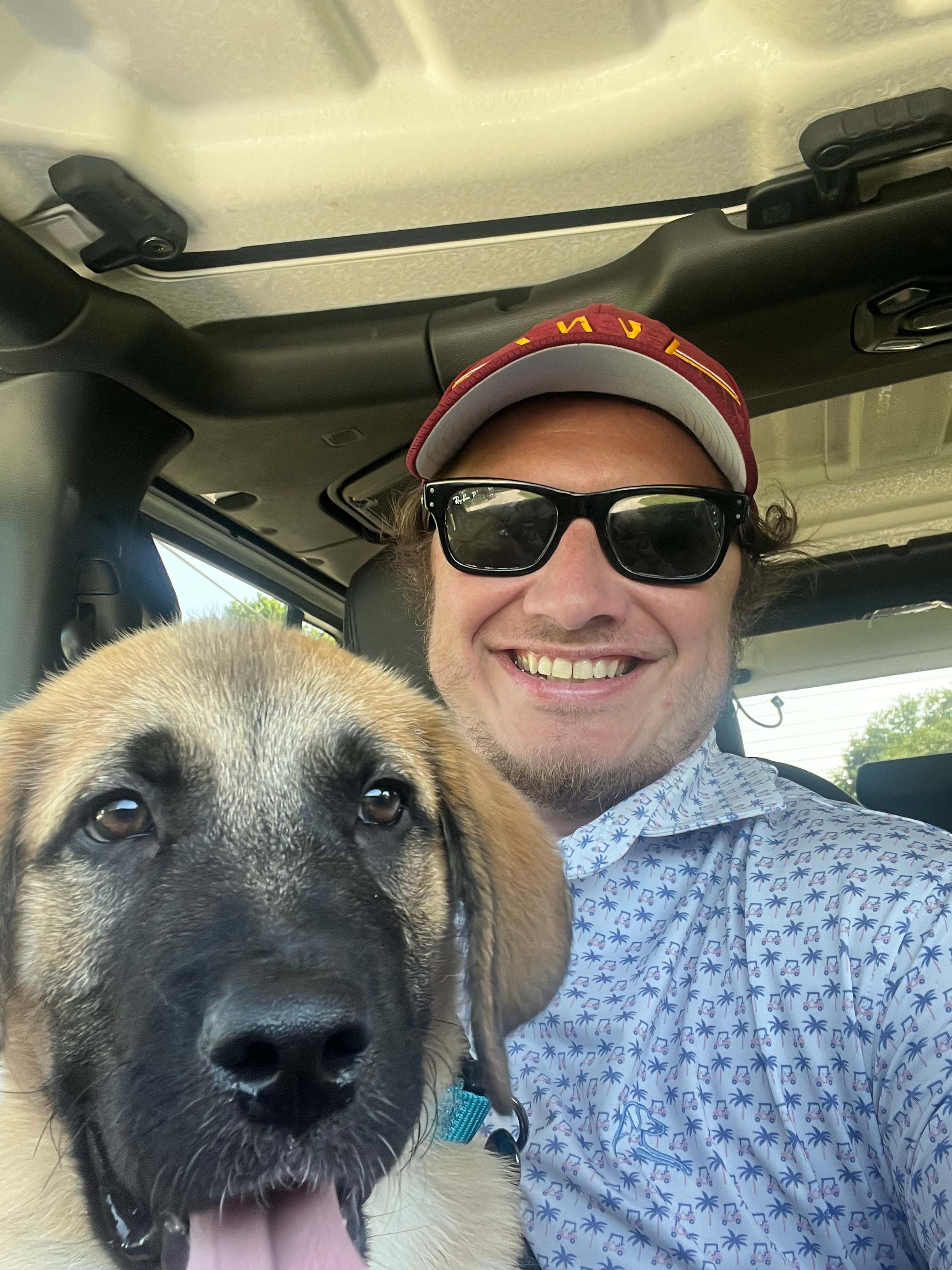 A Former Used-Dog Salesmans Guide To Adopting A Used Dog