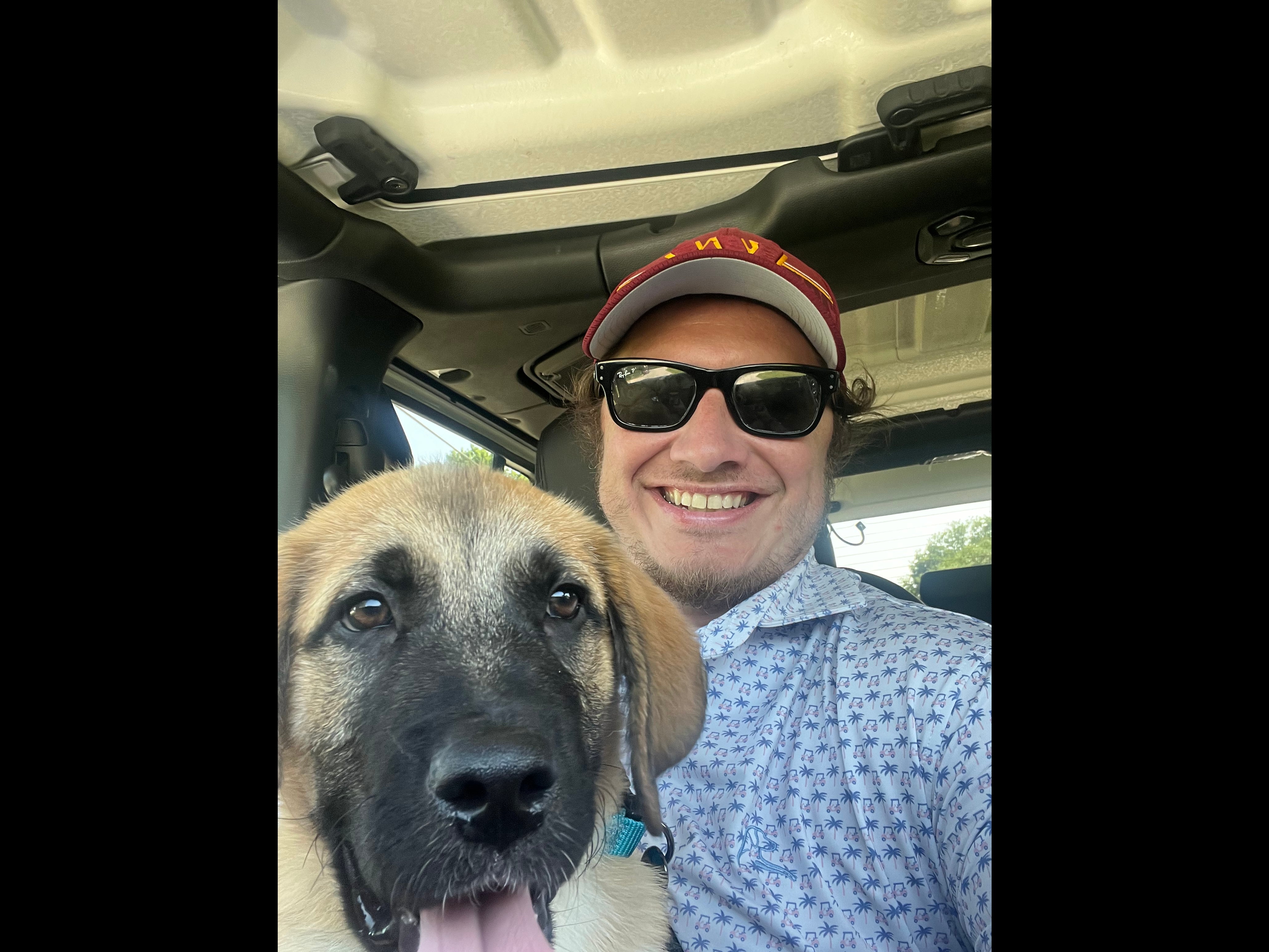 A Former Used-Dog Salesmans Guide To Adopting A Used Dog