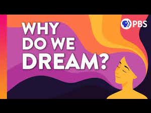 Watch This When You're High - Why Do We Dream?