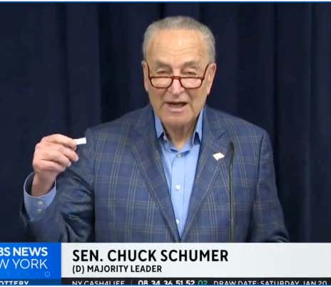 Chuck Schumer Is Trying To Ban Zyns