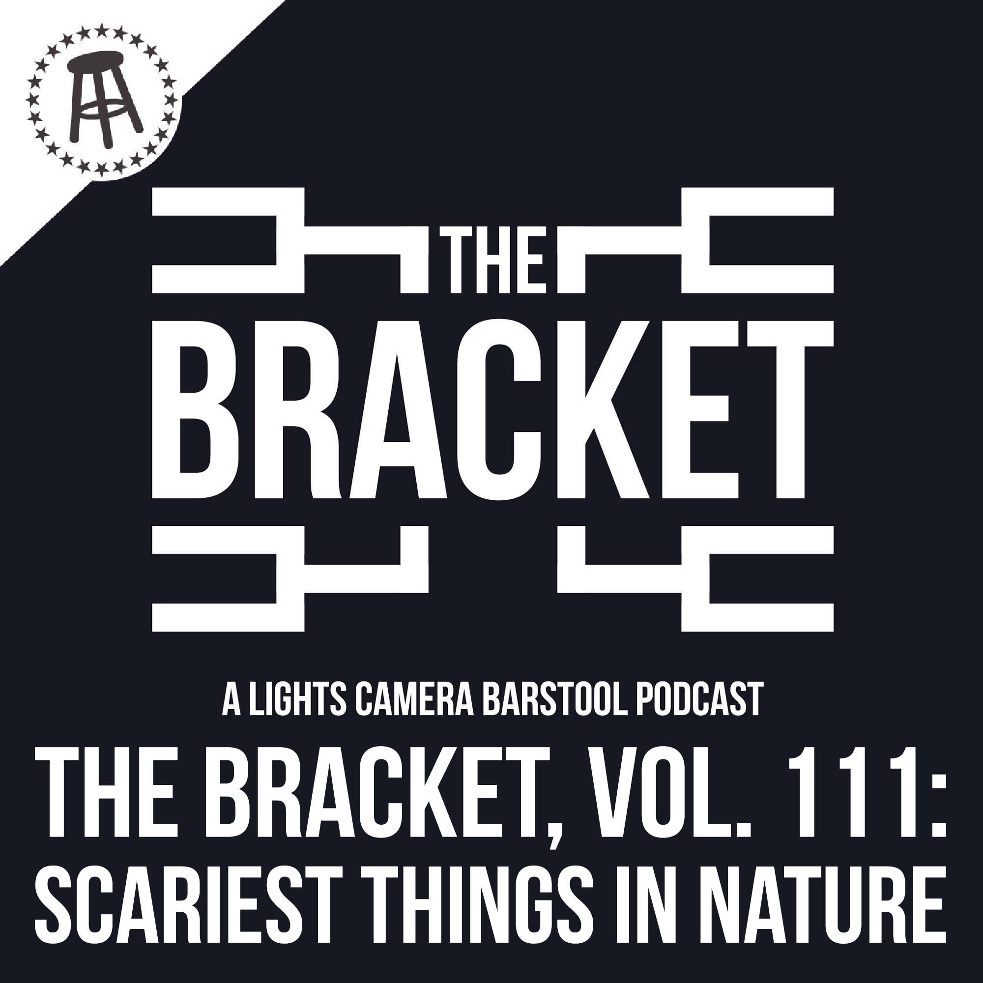 The Scariest Things In Nature (The Bracket, Vol: 111) episode artwork