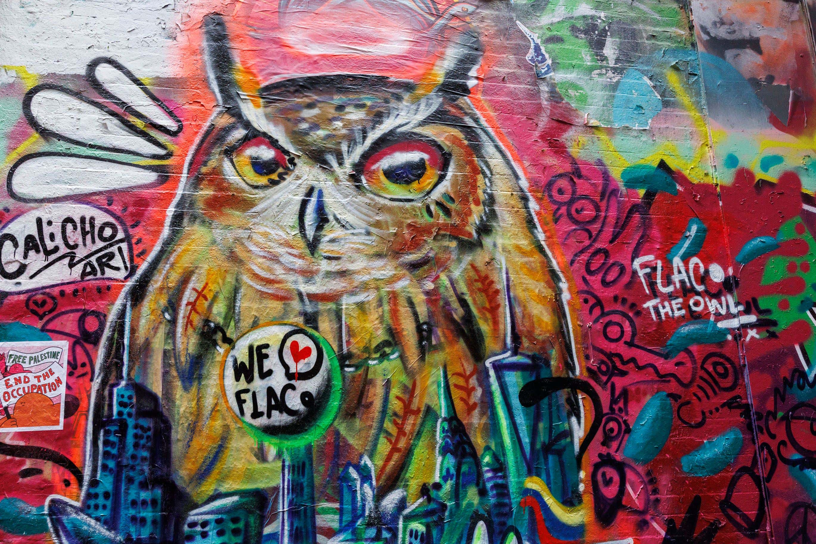 Flaco The Owl's Remains Will Rest In The Museum Of Natural History