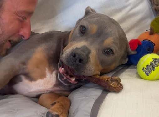 The Internet Continues To Frame Miss Peaches For Heinous Crimes