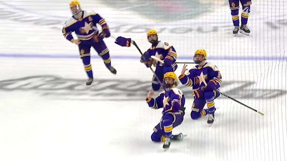 Credit Where Credit Is Due, The Youths Of America Really Crushed It With This Selfie Stick Hockey Celly