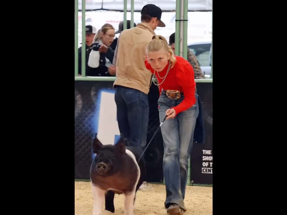 This "Revival Livestock Show" Competition Is The Weirdest Sport You Will Ever Watch