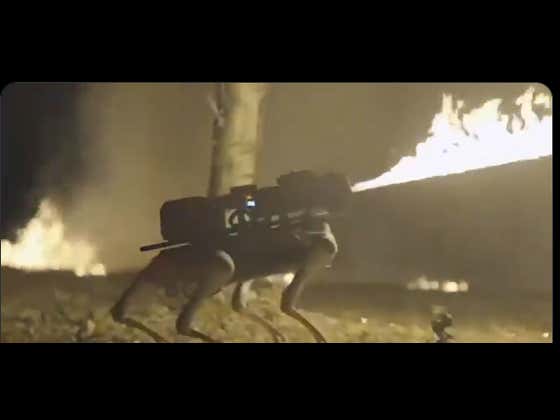 Robot Dog Exploding Futuristic Flame-Throwing Robot Dog is Available For Purchase For The ...