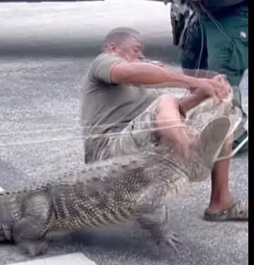 Wild Video Of A Trapper Getting Absolutely Tossed By An Alligator