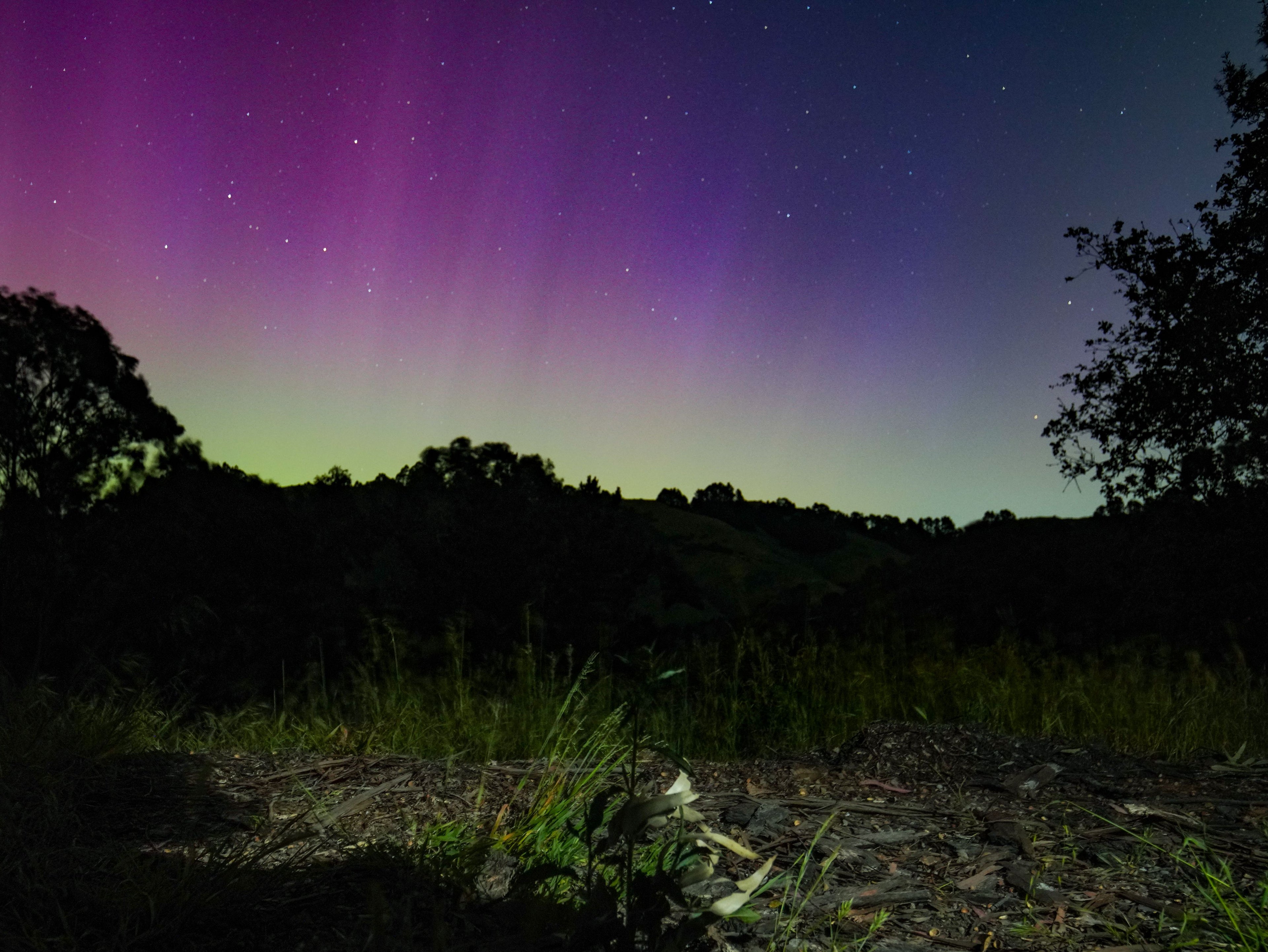 The Northern Lights Were Visible All Across The United States Last Night And Could Be Back Tonight As Well