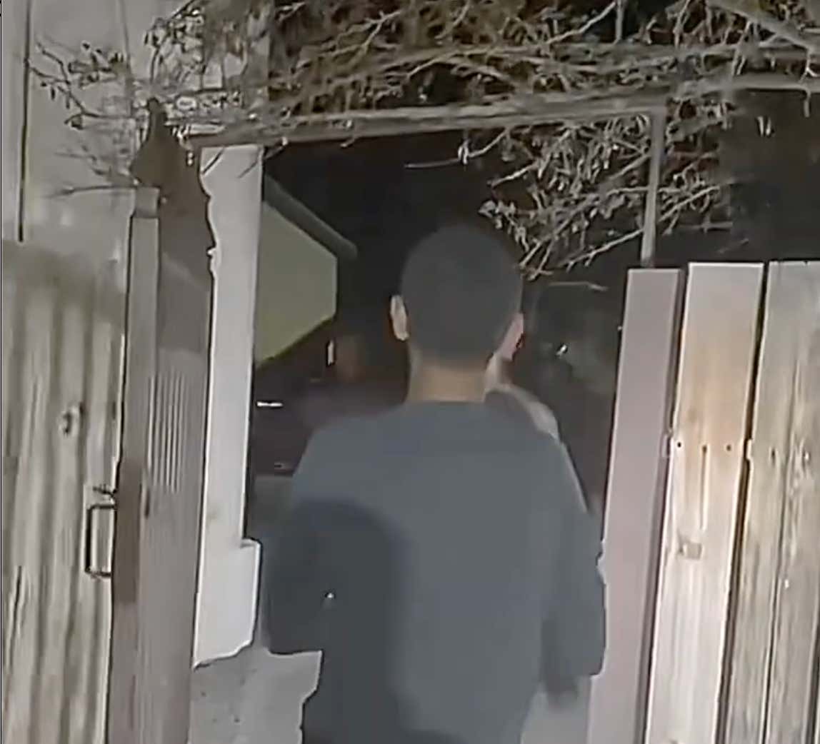 Expert Who Verified Vegas Alien Backyard Footage Speaks Out