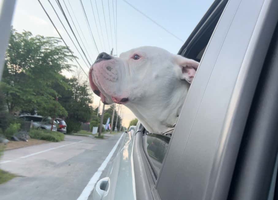 Wild Bill And Whitey Are Hittin the Road