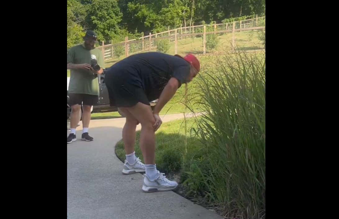 Big Cat Has Been Disqualified From The Beer Games