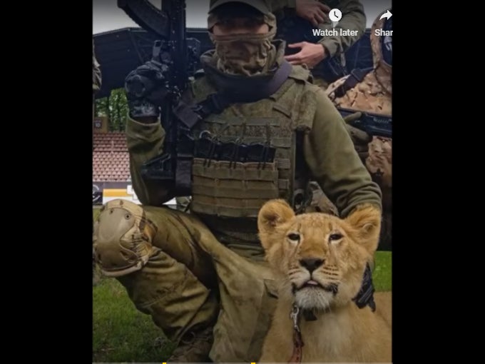 Insane Russian Hooligan Private Military Company Rumored To Be Using Lions and Tigers On Frontline
