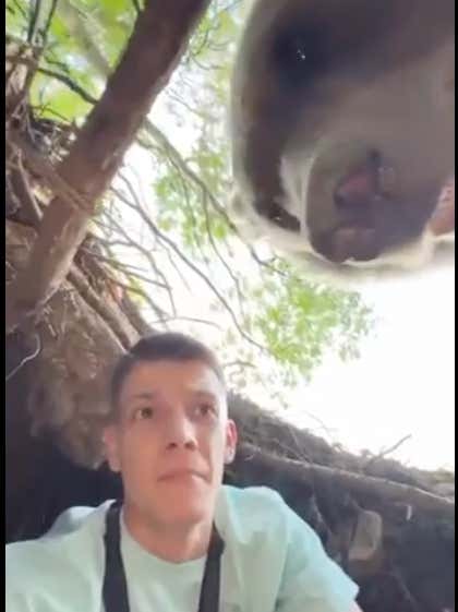 Unreal Video Shows Influencer In A Bear's Cave With Bears Sniffing His Face