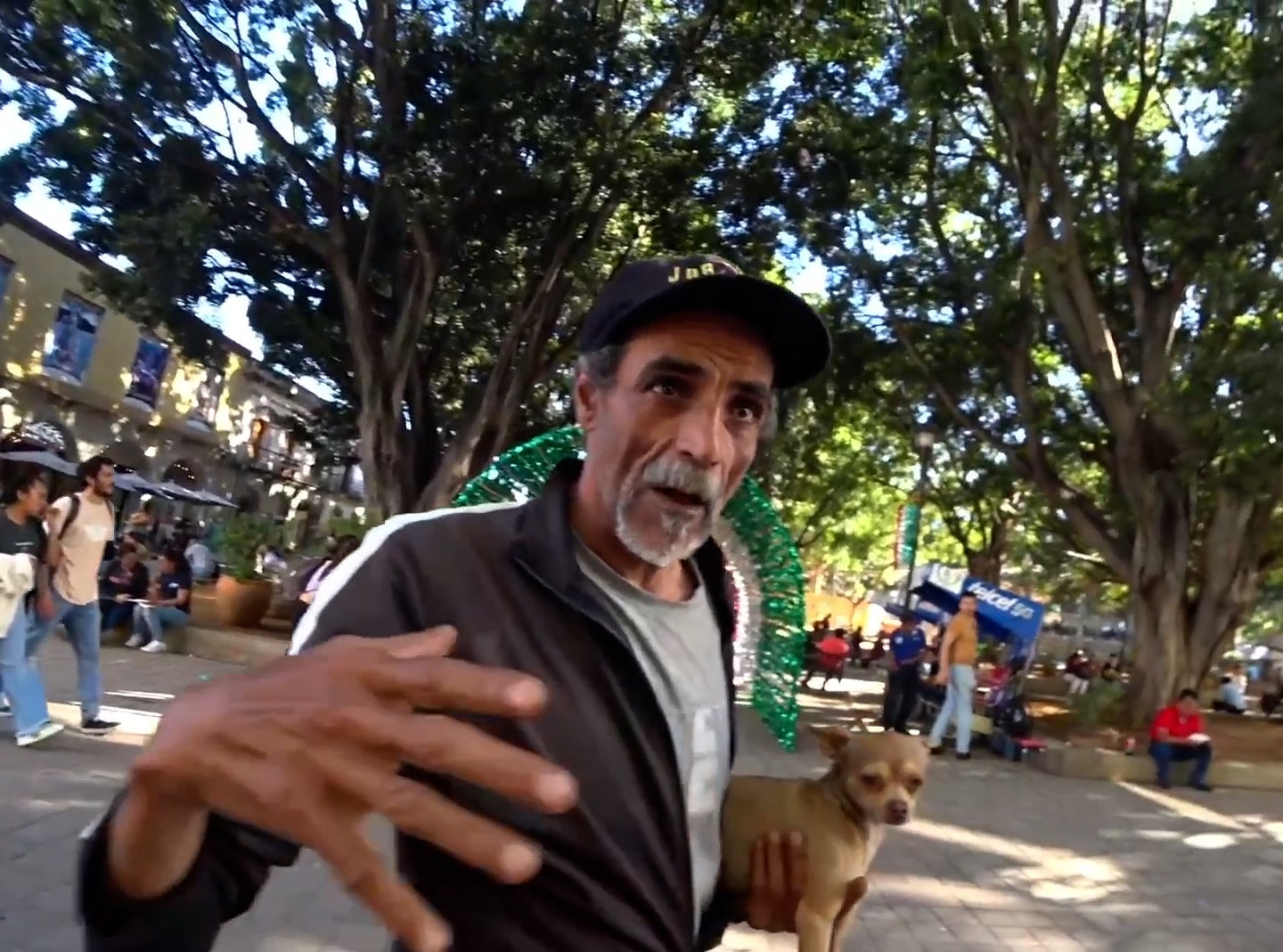 A Complete Stranger (and his Chihuahua) Gave Me a Tour of Oaxaca Mexico