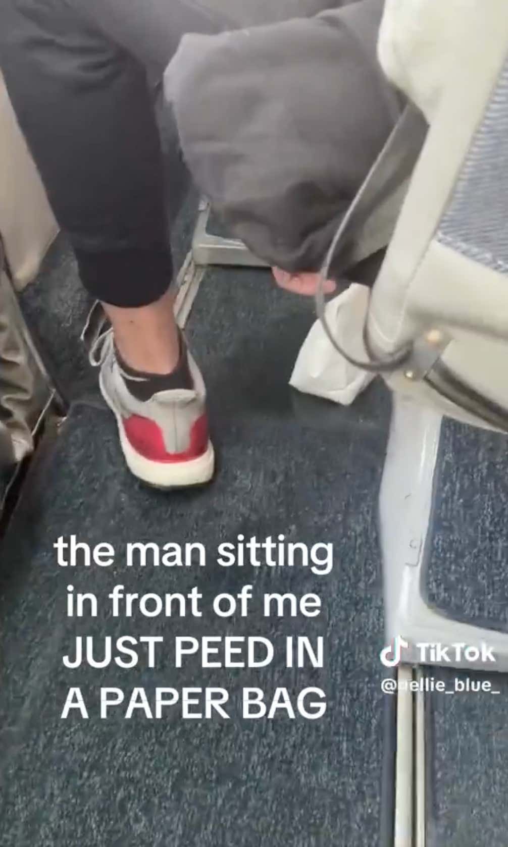 What Is the Appropriate Course of Action When Someone Pisses in a Paper Bag on an 8-Person Airplane?