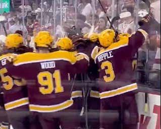 Hockey Doesn't Get Better Than Minnesota Scoring A Filthy OT Goal And Proceeding To Celebrate Right In Wisconsin Student Section's Face