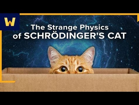 Watch This When You're High - Schrödinger's Cat
