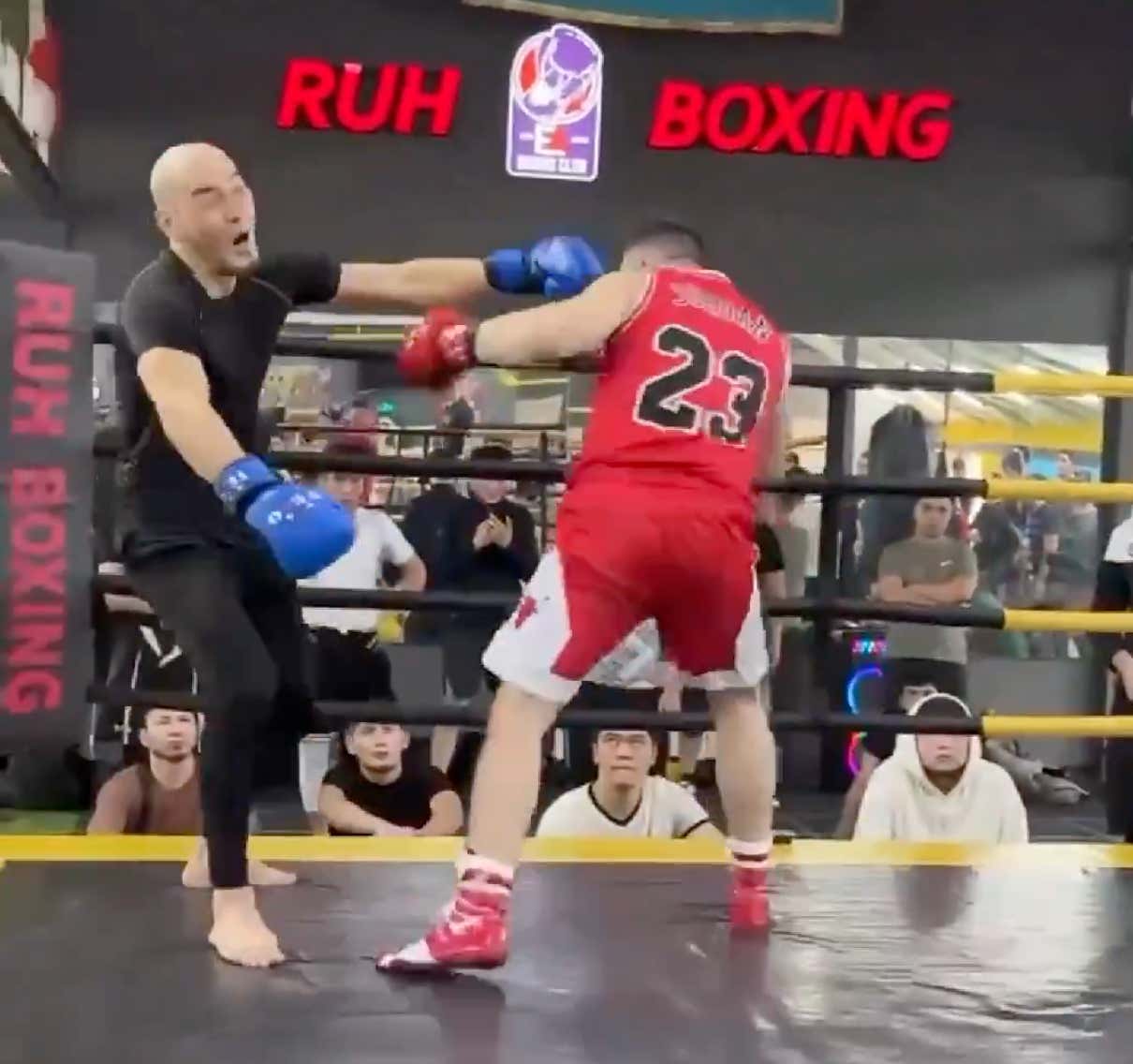 Instant Karma - Fighter Gets Ruthlessly Flatlined After Delivering A Cheap Shot In Sparring