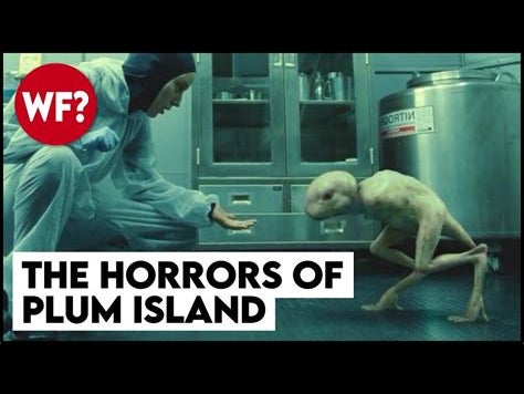 Watch This When You're High- The Mysterious Plum Island