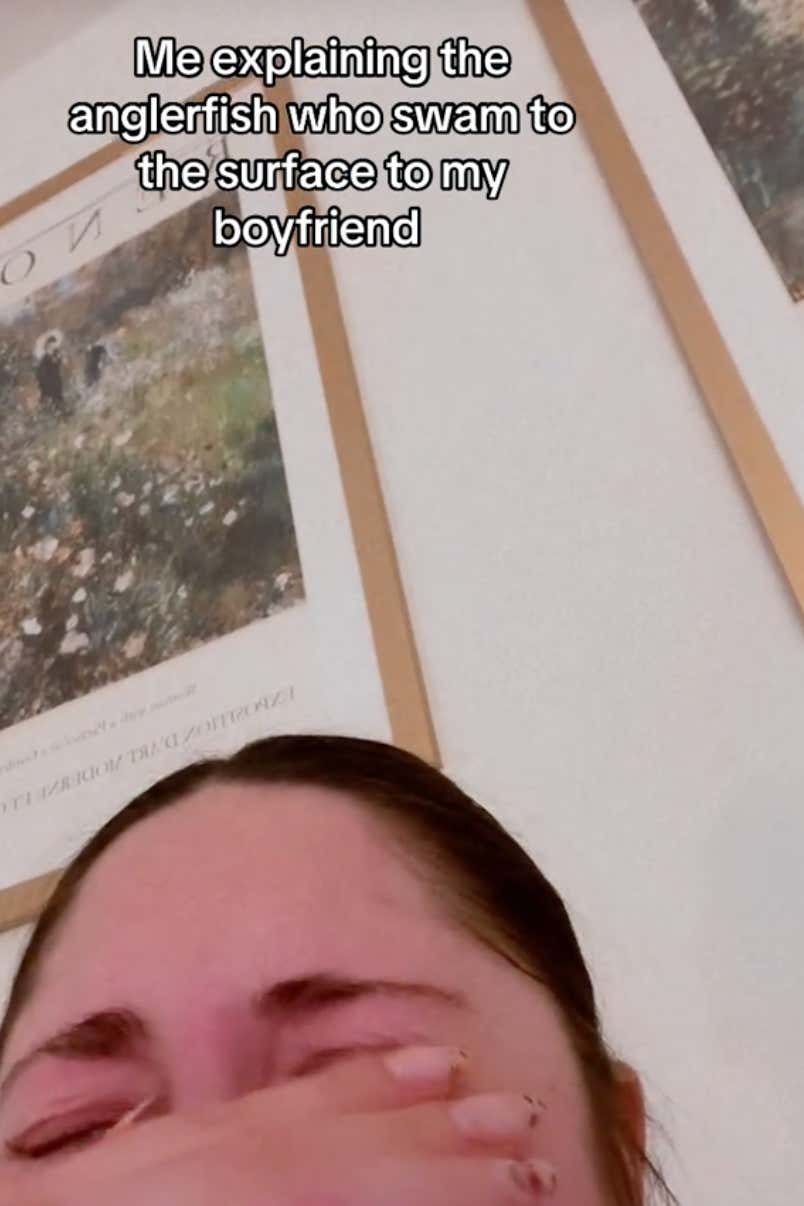 TikTok Users Are Having Mental Breakdowns Over an Anglerfish That Made It to the Surface Before Its Death