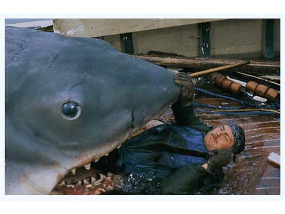 Video Footage Captures What it's Like to Be Eaten by a Shark and What Fresh Hell is This?!?
