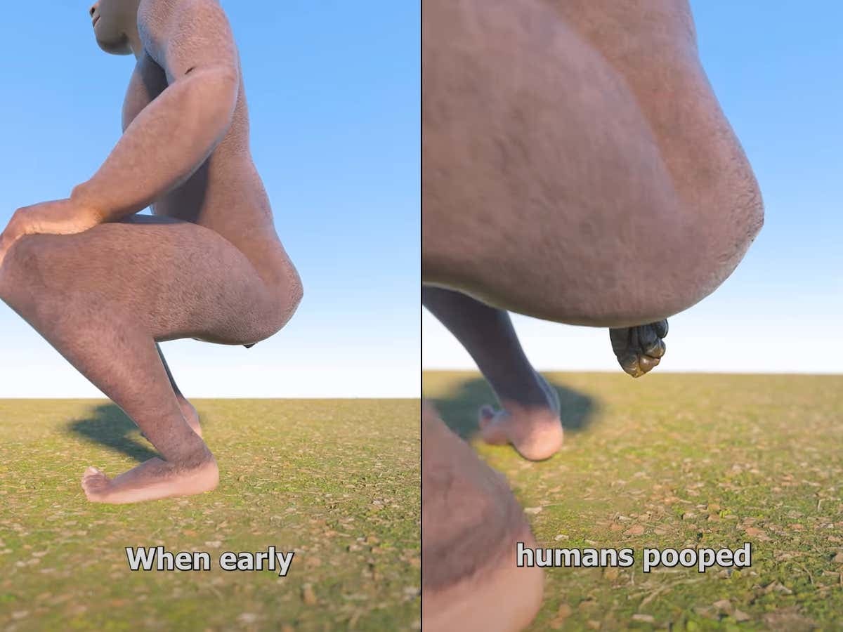 Watch When High - Why Didn't Our Ancestors Used To Wipe Their Asses?