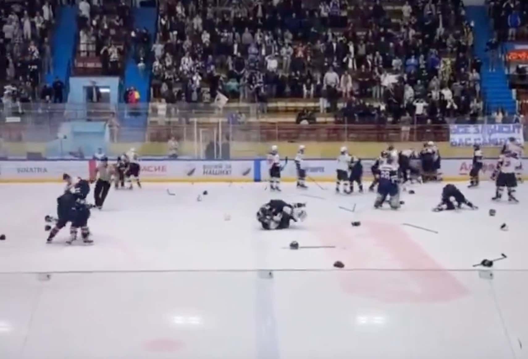 Rule #1 Of Hockey: If You Touch The Goalie, You Die