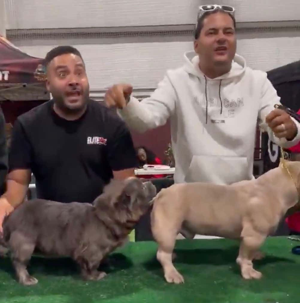 Move Over Westminster Kennel Club – You Have Never Seen a Dog Show as Intense as The Big Apple Gone Rotten Showcase