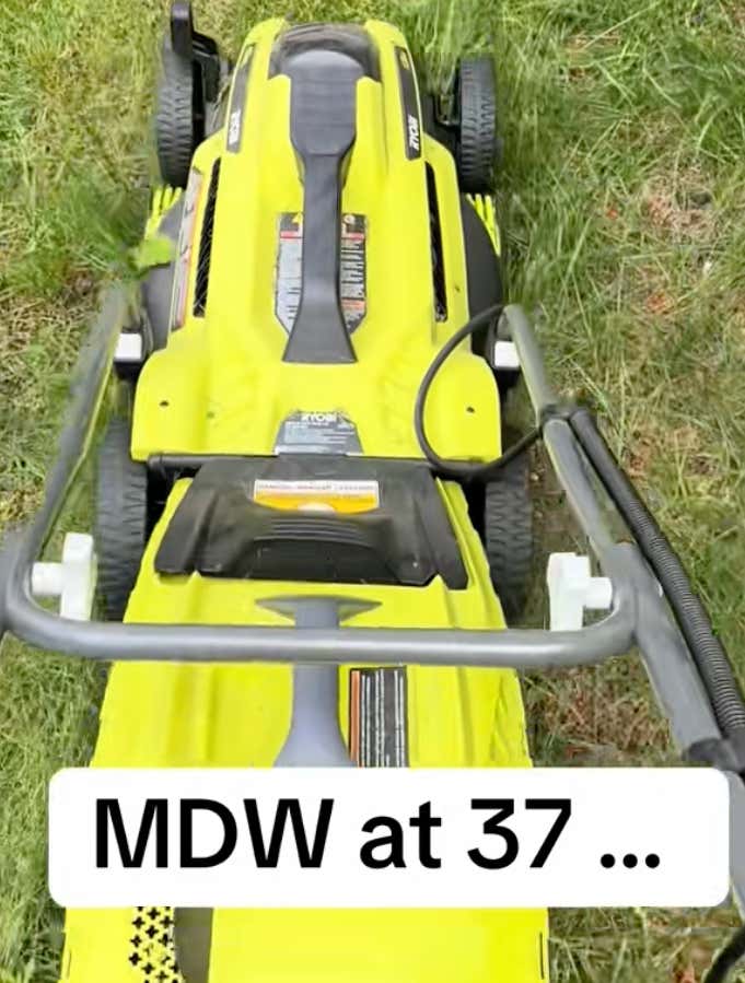 I Am Being Shamed For Using An Electric Lawn Mower