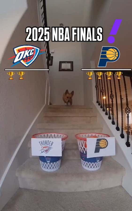 Air Corgi Has Spoken: The Pacers Enter The NBA Finals With The Power Of A Magic Corgi On Their Side