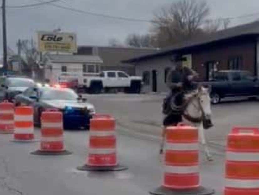 Welcome To Kentucky: A Murray Man Named 'Cowboy Cody' Was Arrested For Releasing A Raccoon In A Bar For Revenge After Getting Banned Due To A Drunken Mule Incident