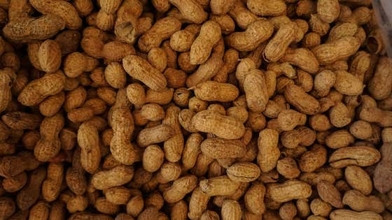 The Best Way To Eat Peanuts At A Ball Park Is Taking The Internet By Storm