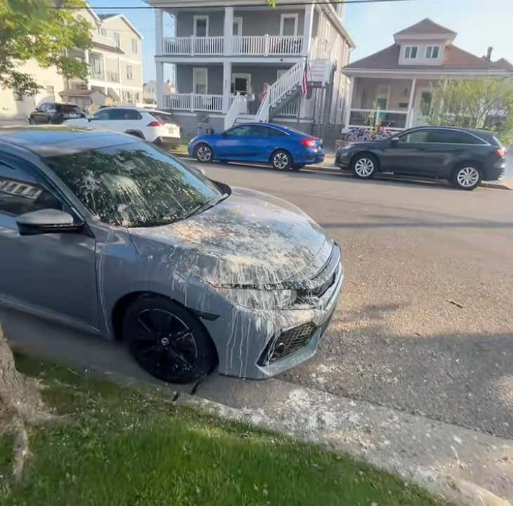 These Birds On The Jersey Shore Have Unloaded To Most Violently Sinister Amount Of Shit Onto This Car Parked Under Their Nest For Days