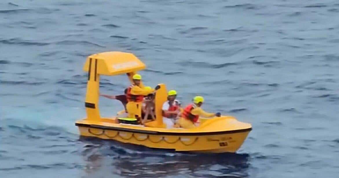 Father Of The Year Nominee Jumped Off The 4th Deck of a Disney Cruise Ship To Save His 5 Year Old Daughter Who Fell Overboard