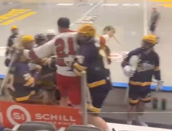 It Doesn't Get More Senior B Box Lacrosse Than Jumping Into The Opposing Bench Trying To Fight The Entire Team
