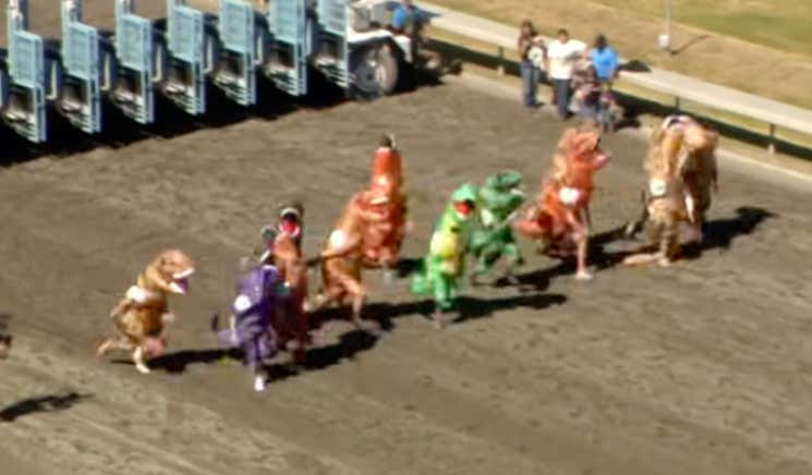 This Dinosaur Dash Race Looks Like The Dumbest Thing Ever, Yet I Still Wish We Could Wager On It