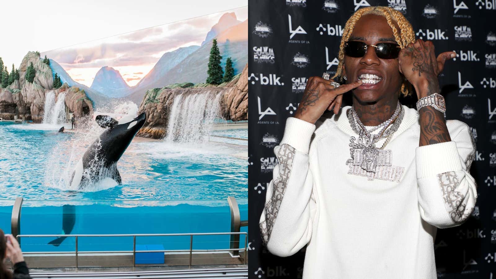 What The Hell Is SeaWorld Doing?