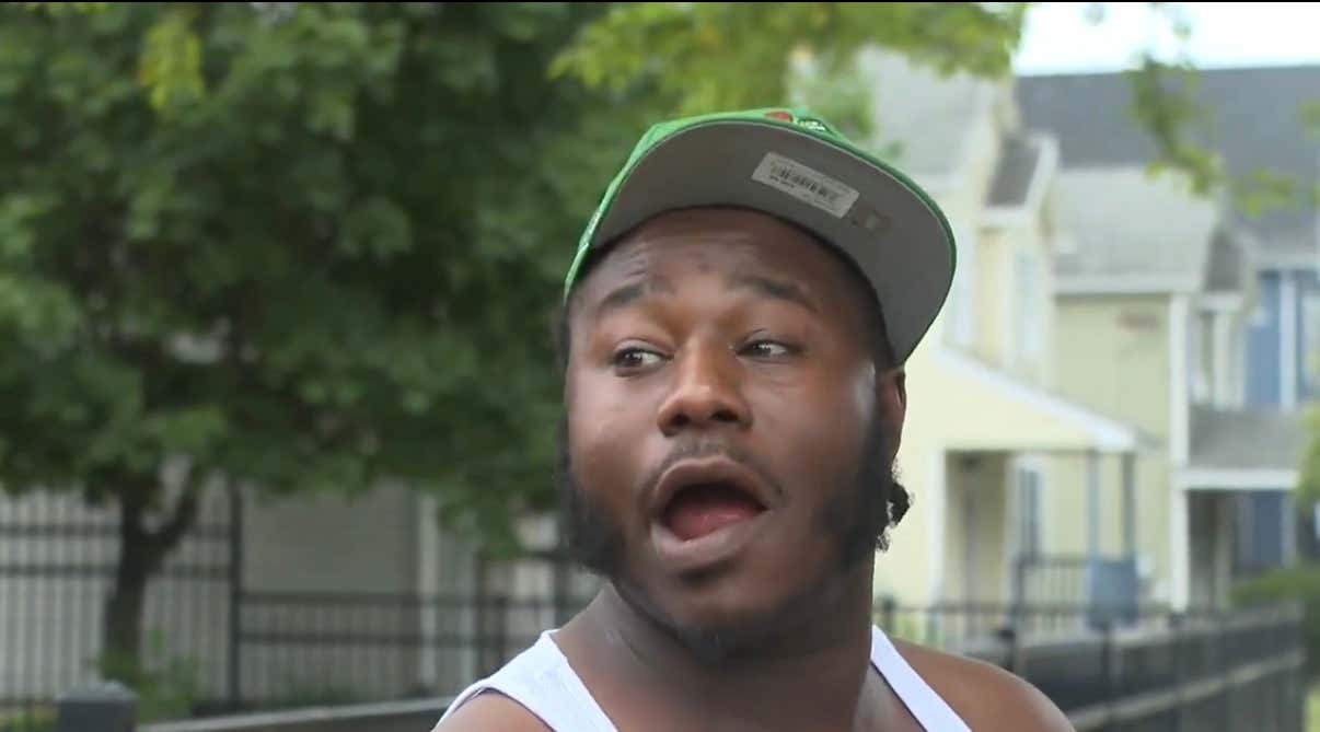 This Eyewitness Account of A Mountain Lion Being Spotted On The Streets of Rochester, NY Is A+