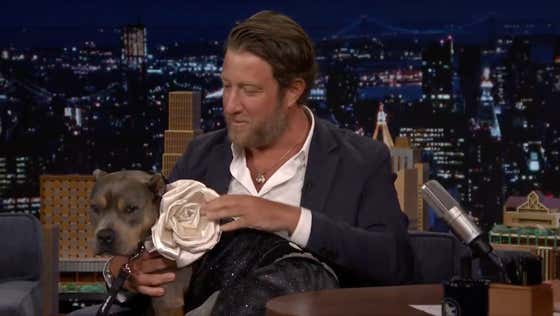 Miss Peaches Was A Guest On Jimmy Fallon's "Tonight Show" Last Night, With Her Handler Dave, And Won Everybody Over As Usual