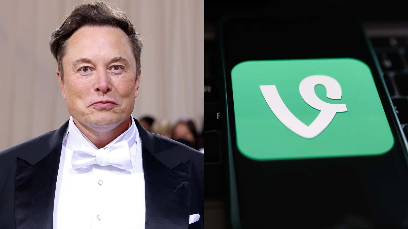 Elon Musk: "We're Bringing Back Vine, But in AI Form", Whatever The Hell That Means