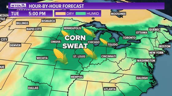"Corn Sweat" Is A Real Thing, And It's Making The Midwest Humid As Fuck This Weekend