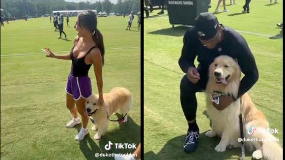 Derrick Henry Is Just A Guy Who Loves Dogs