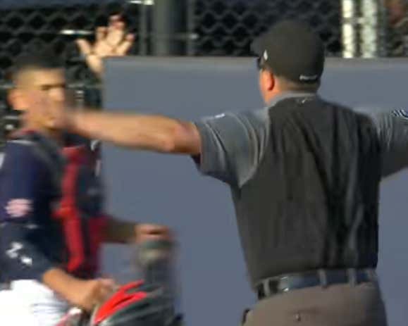New Jersey Loses In Heartbreaking Fashion In The Little League Regionals But The Umps Got The Call Correct