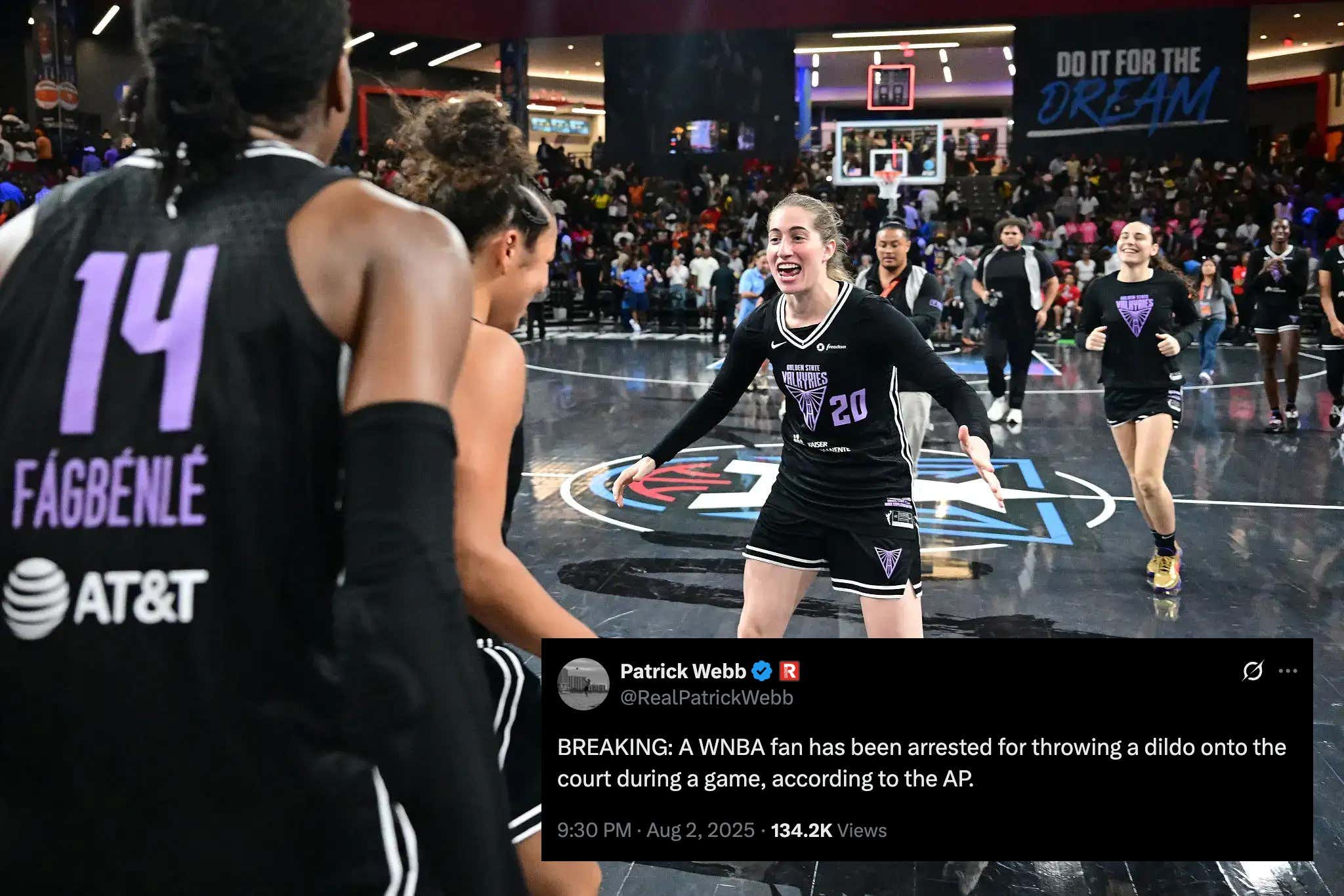 The WNBA Works Harder Than The FBI, Have Reportedly Found And Arrested The Fan Who Threw A Green Dildo Onto The Court