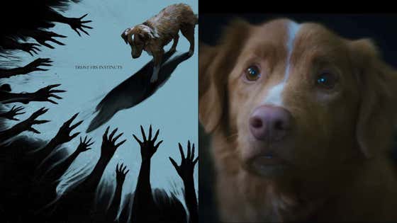 Searches For “Does The Dog Die?" Have Spiked Over 2,000% Since The “GOOD BOY' Trailer Released (Paranormal Horror Movie Shot From The Dogs POV)