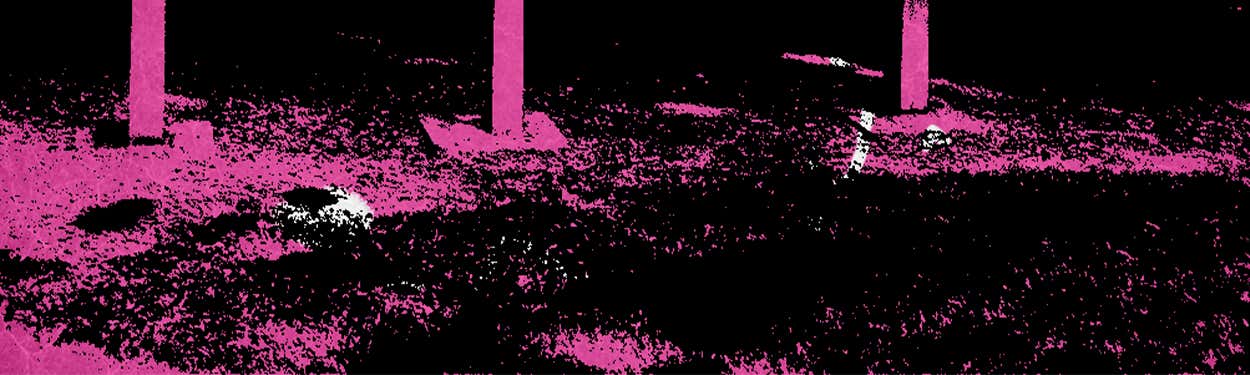 Pup Punk : Under the Bleachers Tour 